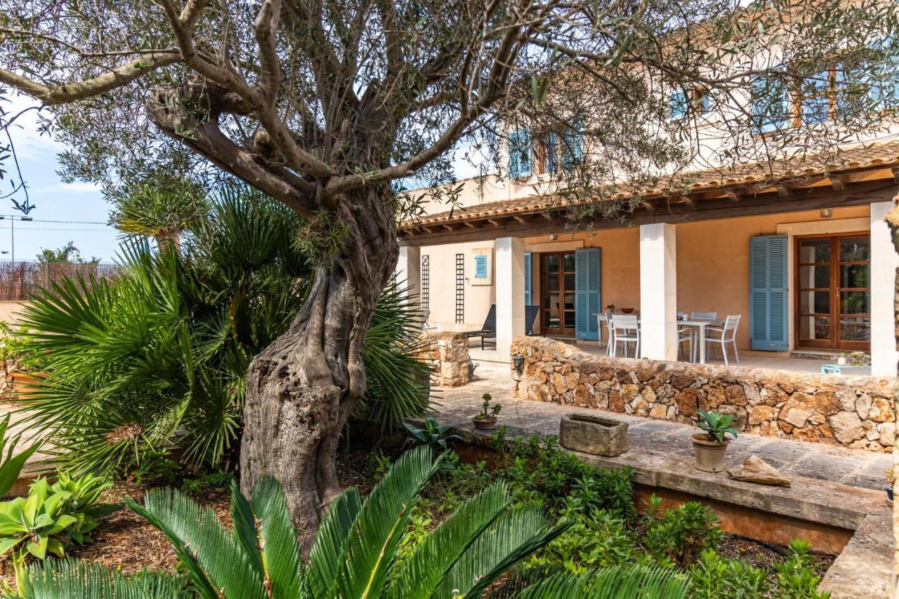 Ferienhaus Sa Bassa - Close To The Village